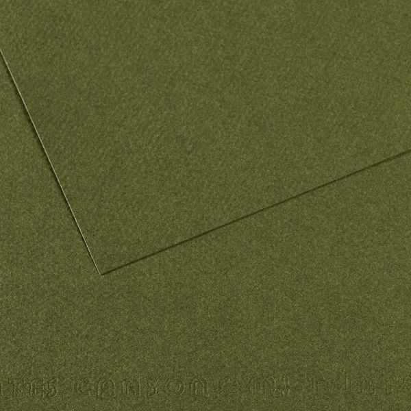 Бумага для пастели Mi-Teintes 160 г/м², 50х65 см, 10 л, №448 Зеленый плющ, Canson, C31033S121