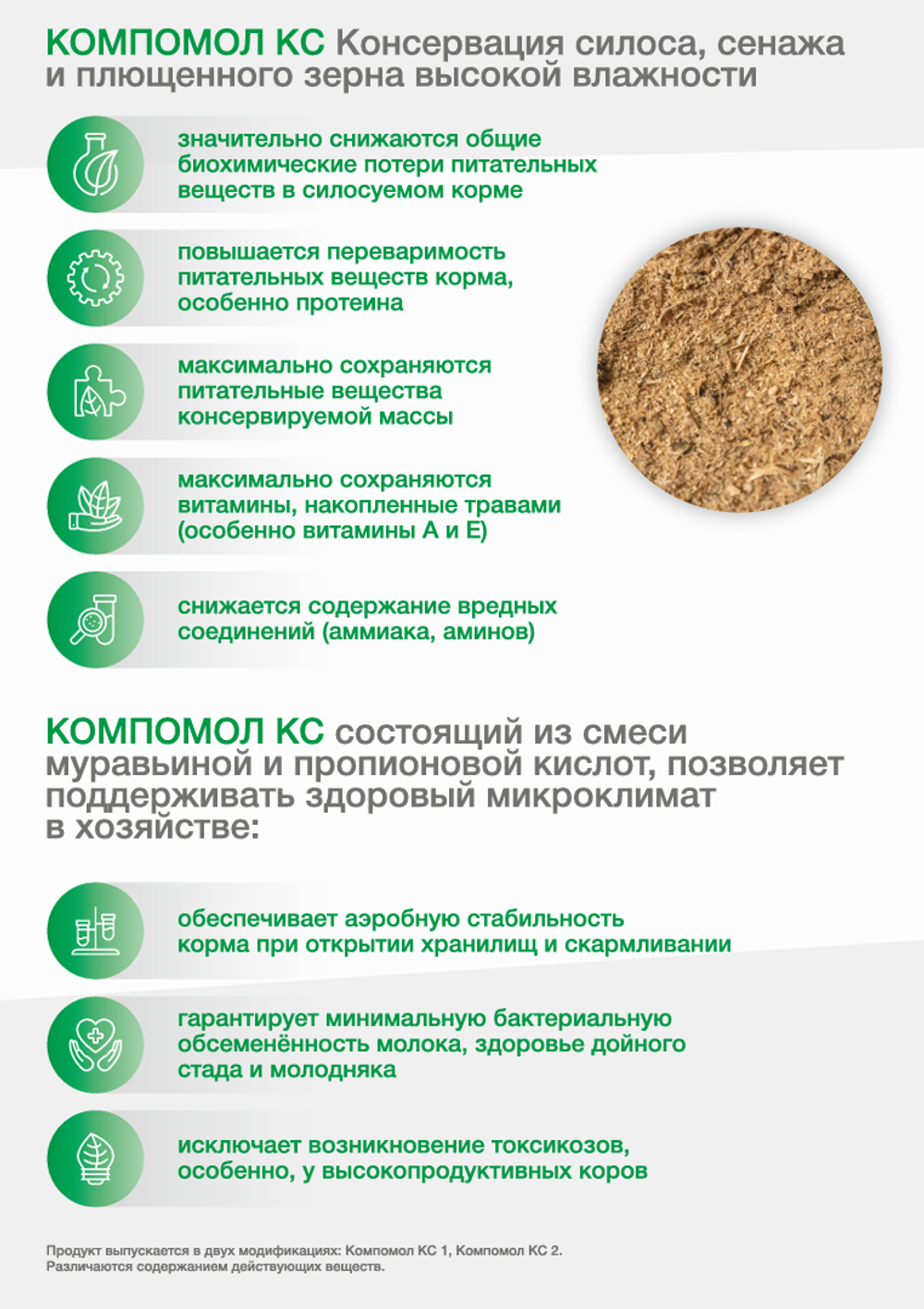 Снимок_экрана_2026-03-01_155616