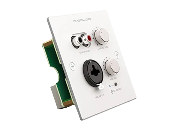 CVGAUDIO PW-IN/W