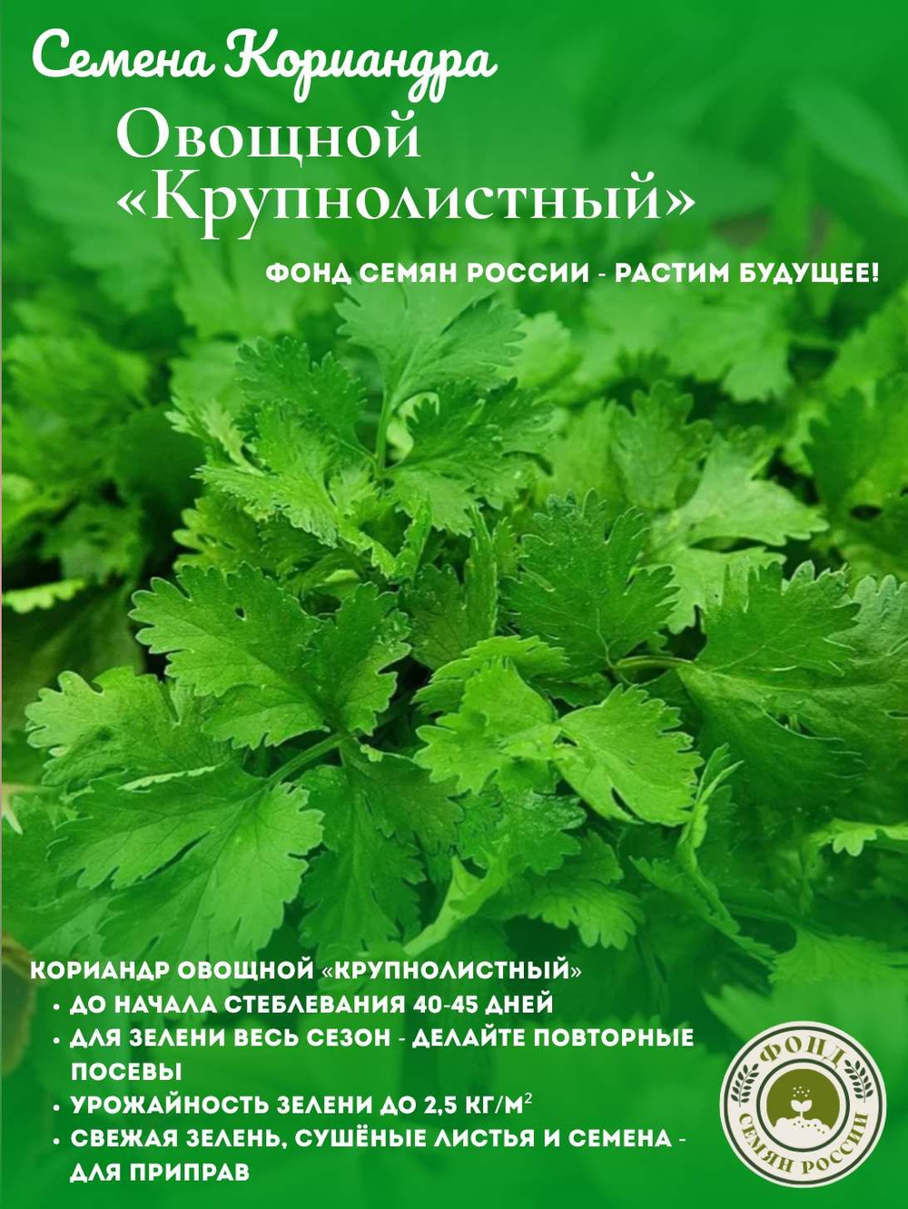 Кориандр (кинза) 3 сорта, 3 упаковки, семена 9 гр.