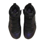 Заказать в Москве Nike LeBron 4 Eggplant