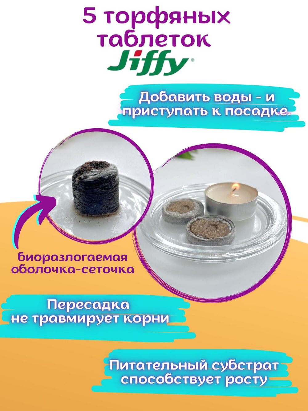 Семена Эустома высокорослая многолетняя Белая, Лизиантус комнатный + торфяные таблетки Jiffy в подарок, 5шт