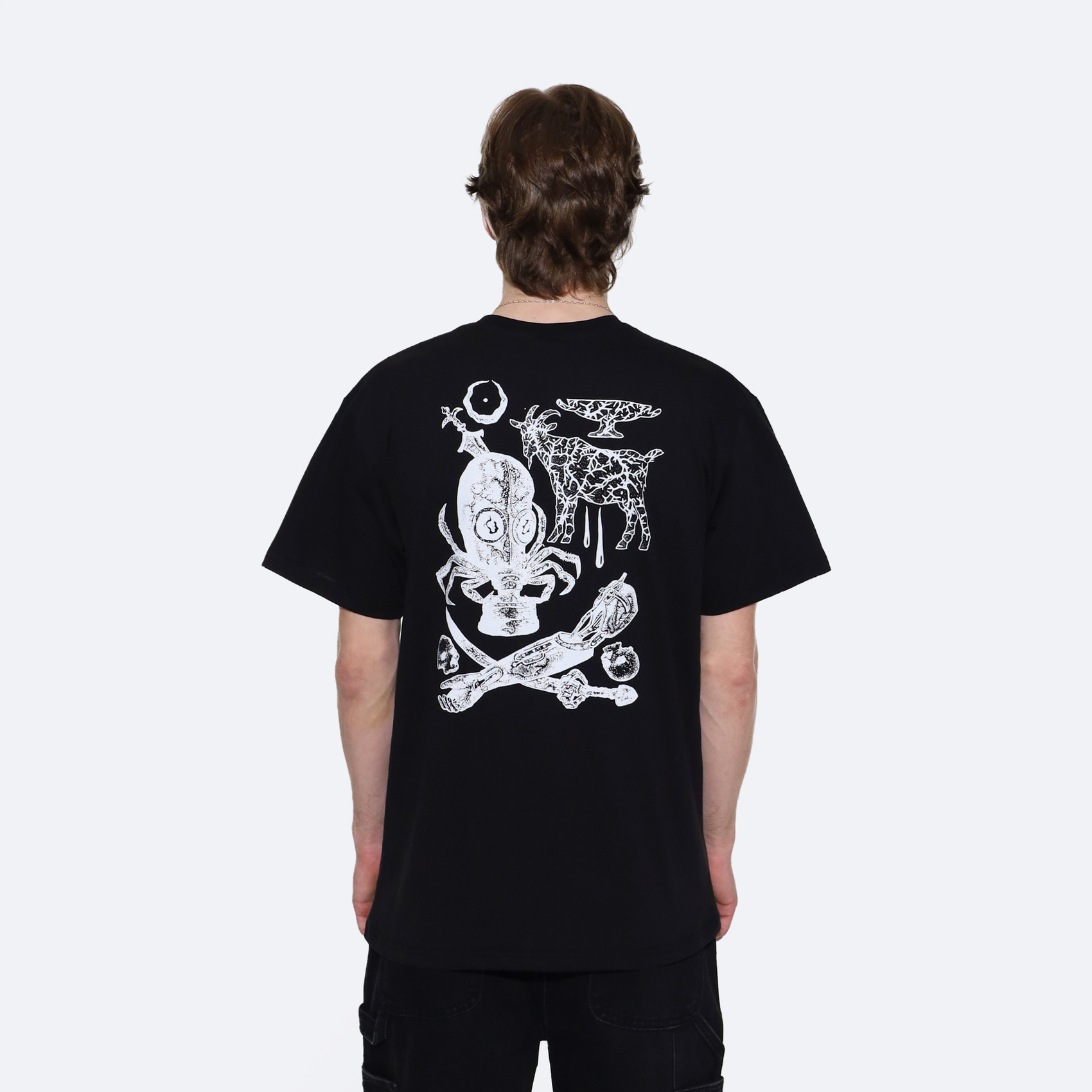 Футболка Anteater Tee 387 goat (black) артикул: - купить в магазине Дайс