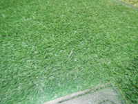 DSCN1490.jpg
