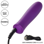 Фиолетовый перезаряжаемый вибромассажер 10,25см California Exotic Novelties T.C.B. Taking Care of Business SE-3300-82-2