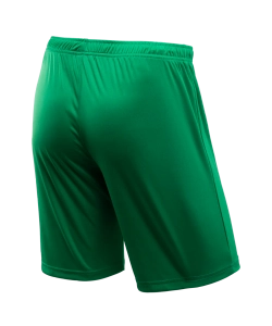 Шорты игровые CAMP Classic Shorts, зеленый/белый