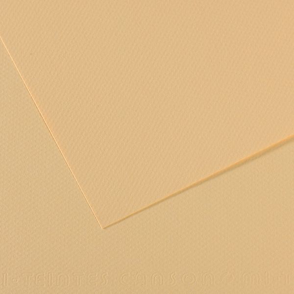Бумага для пастели Mi-Teintes 160 г/м², 75х110 см, 10 л, №407 Кремовый, Canson, C31032S148