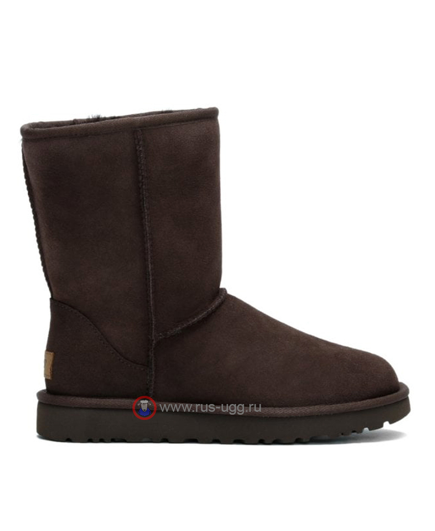 MEN'S CLASSIC SHORT II Chocolate