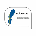 Комплект постельного белья IKEA BLAVINDA (БЛОВИНДА), Двуспальный, Серый, 240x220, 50x80 см