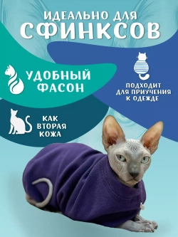 Одежда свитер для сфинксов кошек