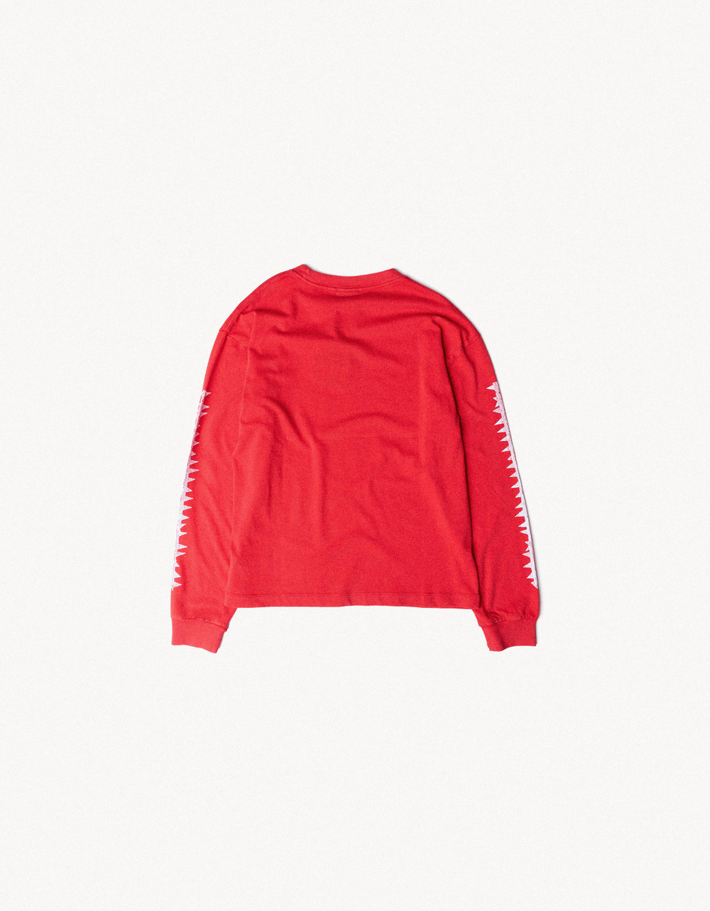 Мужской лонгслив с принтом ARIES X BERSHKA - BERSHKA