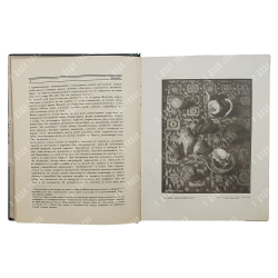 [Подшивка журнала] Аполлон. № 1-10 в 3-х книгах, 1916.