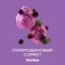 Starline - Смородиновый сорбет
