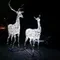 Световая Олениха