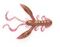Твистеры съедобные LJ Pro Series ROCK CRAW 2.8in (7,2 см), цв. S14, 6 шт.