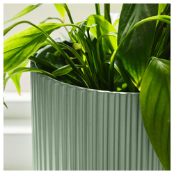 IKEA DAKSJUS  (ИКЕА ДАКСЙУС)  -  Кашпо - светло-зелёный 15 см