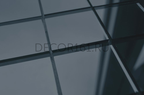 161D50