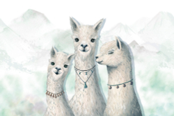 Коллекция Little friends 2