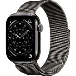 Умные часы Apple Watch Series 11 42 мм Titanium Milanese Loop Серый