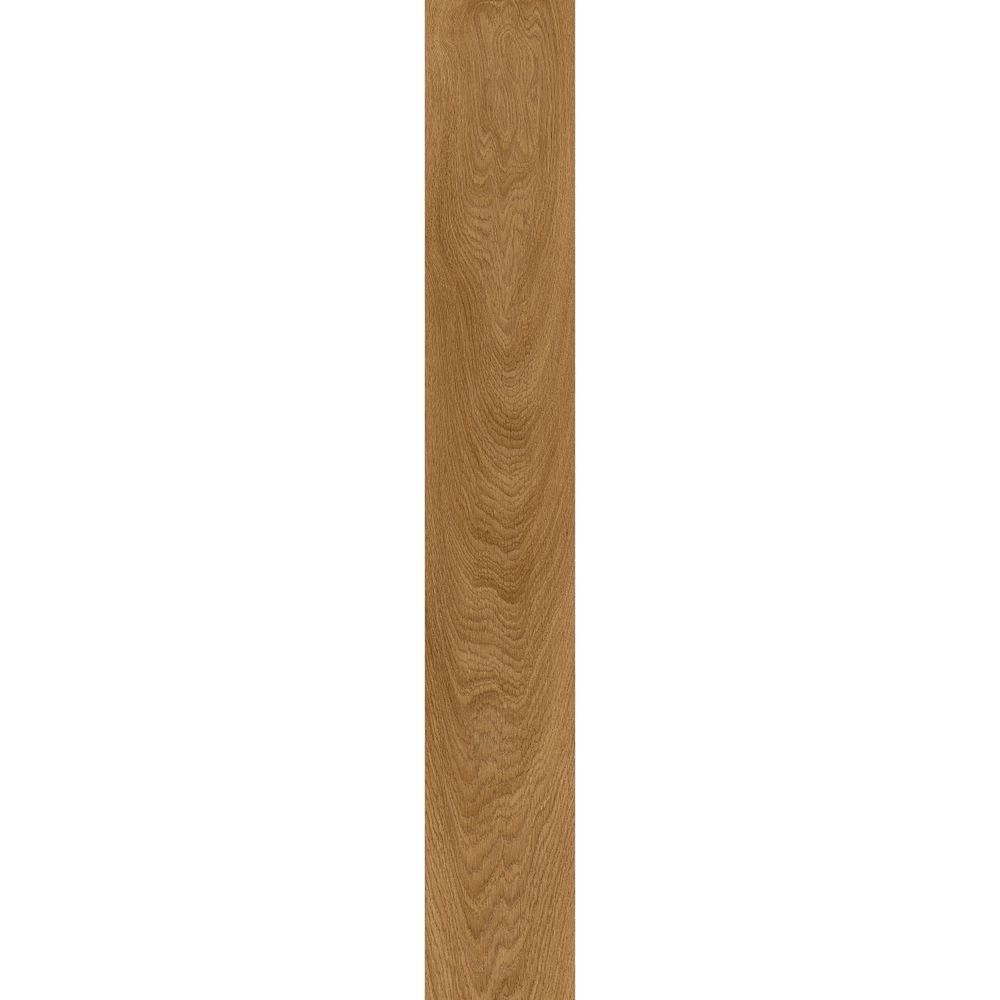 Laurel Oak 51822