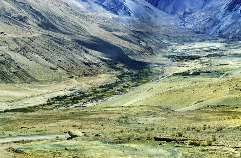 YanFroloff Herbes Himalayennes