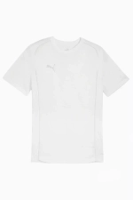 Футболка Puma teamFINAL Casuals