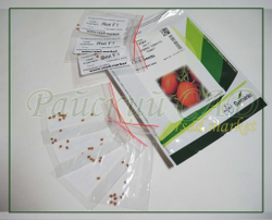 Томат индетерминантный Яки F1 (Seminis | Alexagro) 10 шт.