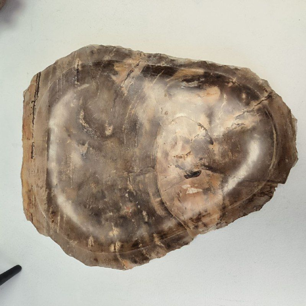 Набор из окаменелого дерева 4 предм Fossil Set NF-63074 поднос 29смx36см