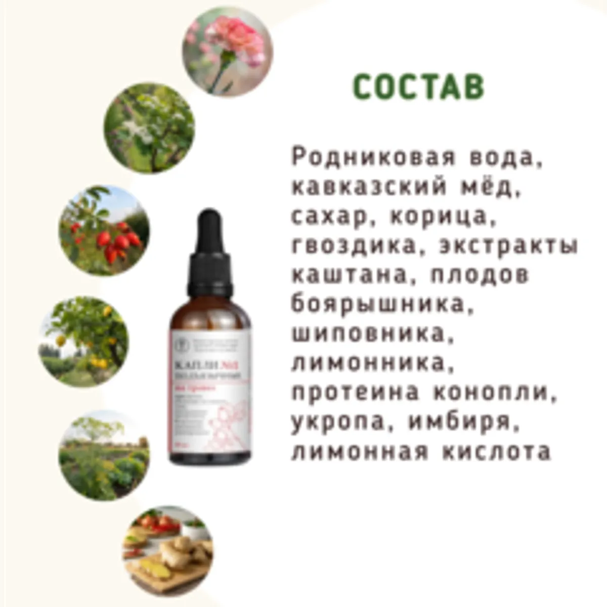 Капли №1 подъязычные при апатии и спаде сил/50 мл