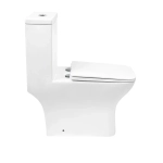 Унитаз-моноблок Royce Smart (RCT-133004WH)