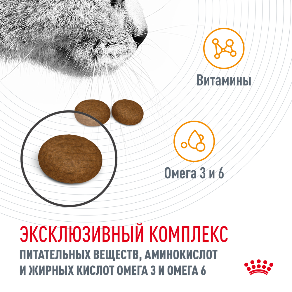 Сухой корм для кошек Royal Canin Hair & Skin Care (Роял Канин Хайбал энд скин кэа) для поддержания здоровья кожи и шерсти 400 г