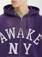 Мужская Толстовка Collegiate Arch Zip