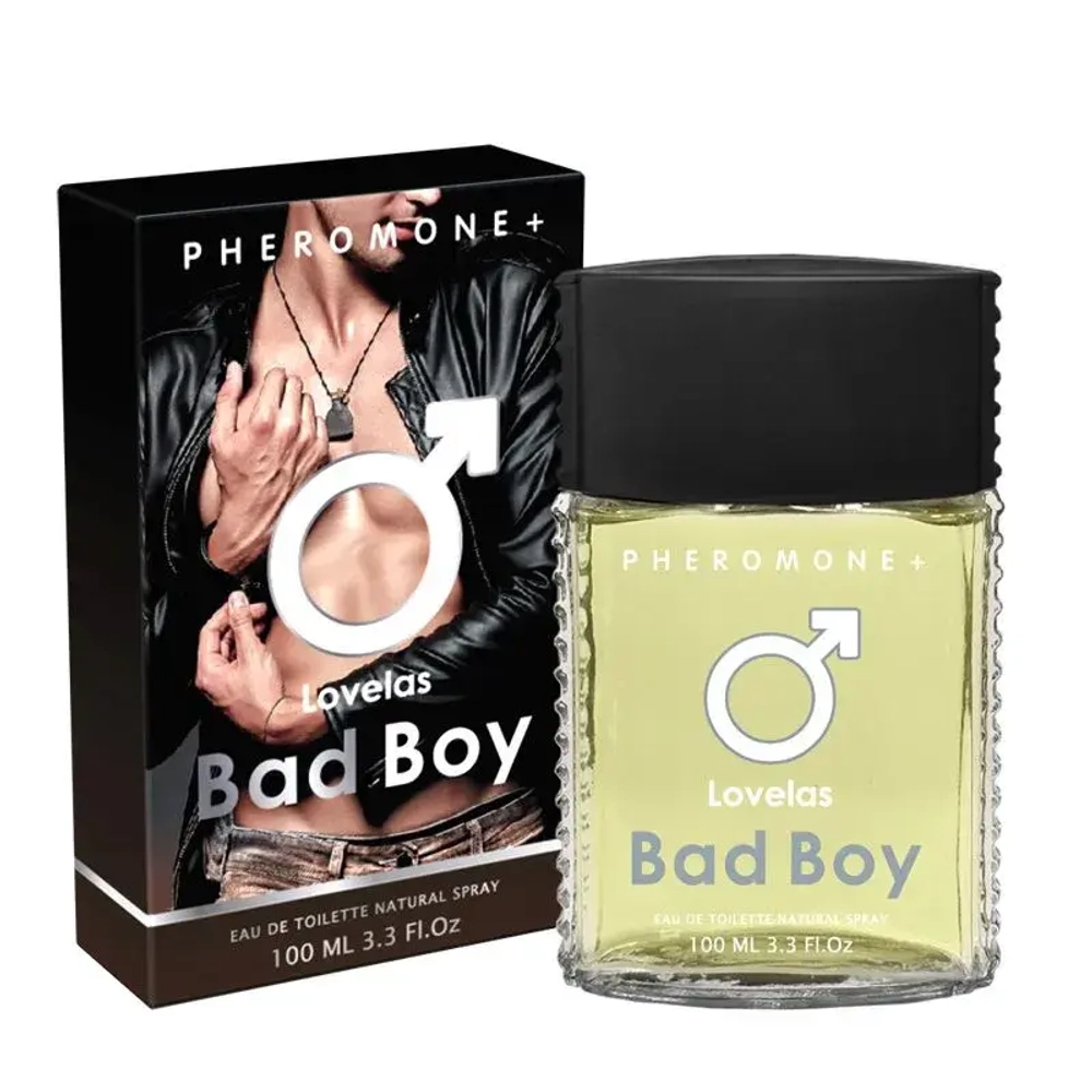 Туалетная вода для мужчин "LOVELAS BAD BOY" 100мл Россия