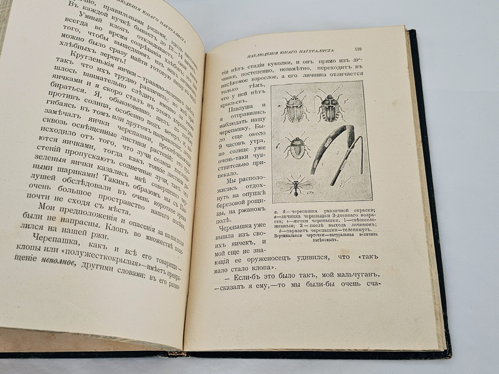"Наблюдения юного натуралиста : Очерки А.А. Умнова". А.А. Умнов. 1909г.