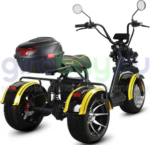 Электротрицикл SIBERTON PRO TRIKE 3950W (60V/35Ah) фото №5