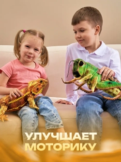 Бородатая агама