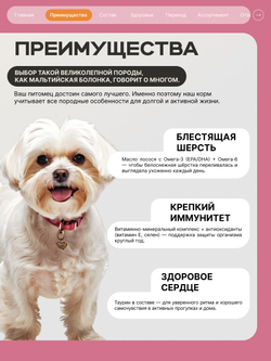 Корм сухой для взрослых собак породы Мальтийская болонка, с ягненком, 800 гр, QUATTRO