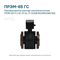 Преобразователь расхода электромагнитный ПРЭМ-65 ГС L0/-/F Кл. C1 12/24В Bt/ИМИ/485 (К3)
