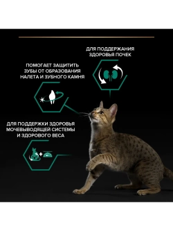 Корм для кошек Лосось 1,5кг