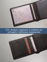 B250010R Castanho - Портмоне c RFID защитой MP