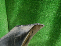 DSCN8636.JPG
