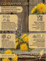 Одуванчик цветки для флористики и творчества