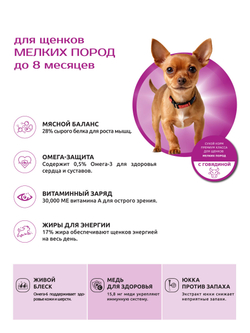 Корм сухой для щенков мелких пород, с говядиной, 800 гр, QUATTRO