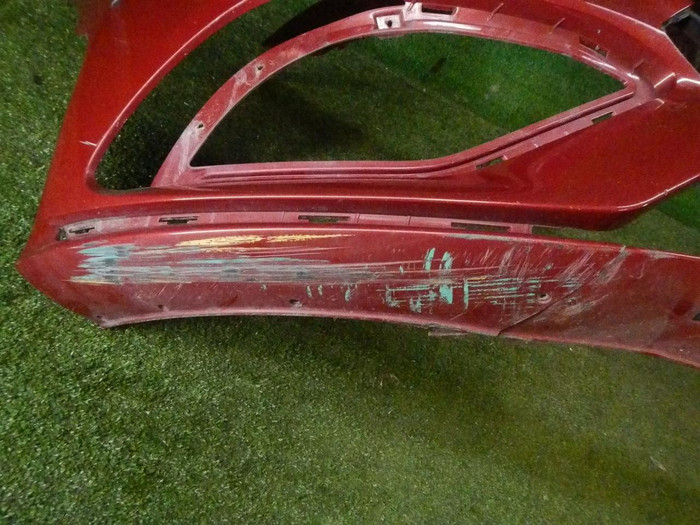 DSCN1567.jpg