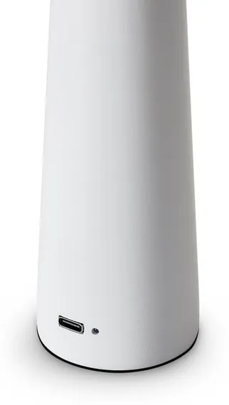 Интерьерная настольная лампа Clam FR6188TL-L3W Freya