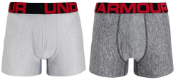 Мужские спортивные боксеры Under Armour Tech 3in 2 Pack - серый