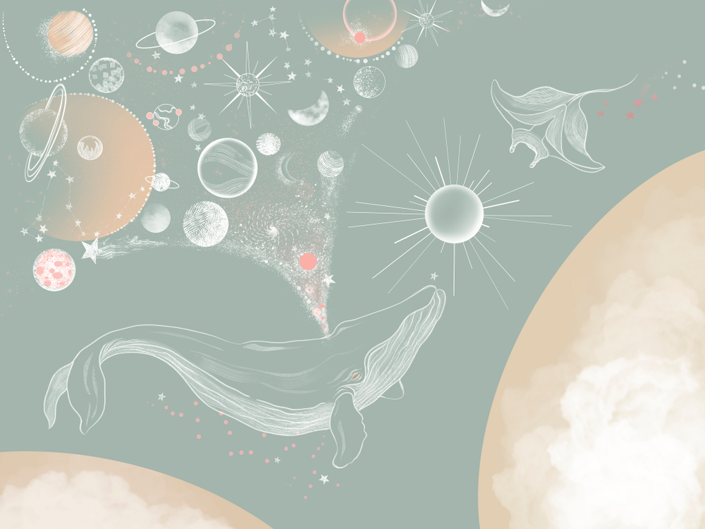 COSMOS 8
