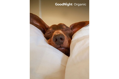 Постельное белье GoodNight Сатин Делюкс дуэт (с нав. 50х70) лаванда