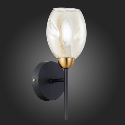 Светильник настенный Evoluce Gloa SLE155501-01
