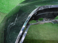 DSCN8495.JPG